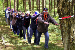 Teamtraining im Wald