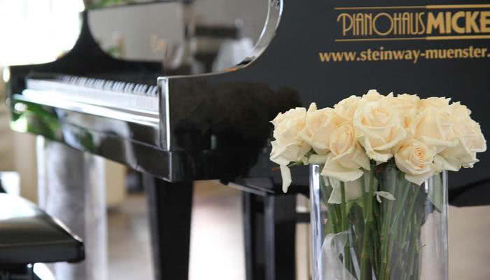 Steinwayflügel mit Pianodisc
