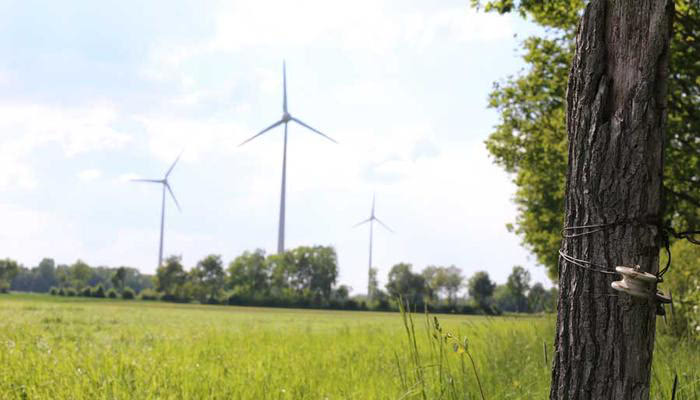 Windkraft in Ostbevern