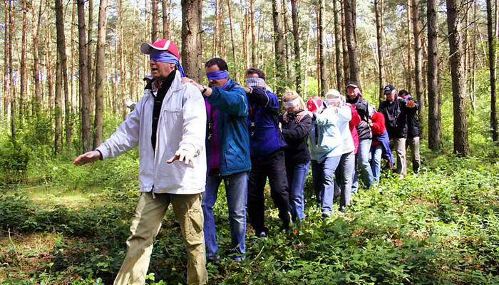 Teamtraining im Wald