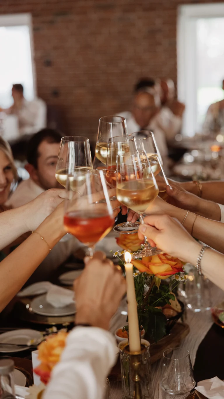 Gäste stoßen bei einer Feier mit Aperitif an